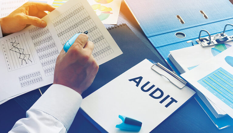 Maximizing Results: Leveraging Technology for RADV Audits