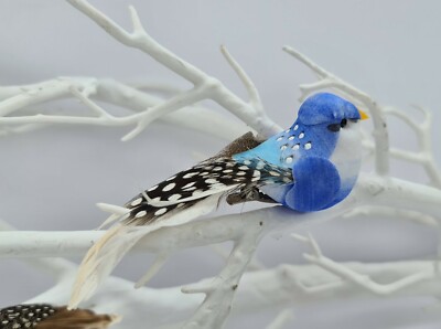 The Story Behind Pure Feather Aviary