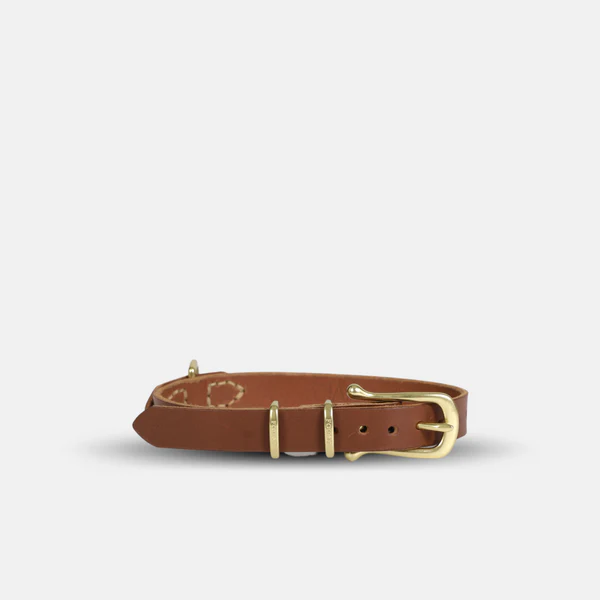 8 Essential Steps to Launch a Successful Leather Dog Collar Business