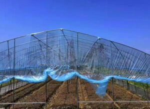 Understanding How China Greenhouse Manufacturers Shape Global Agricultural Growth