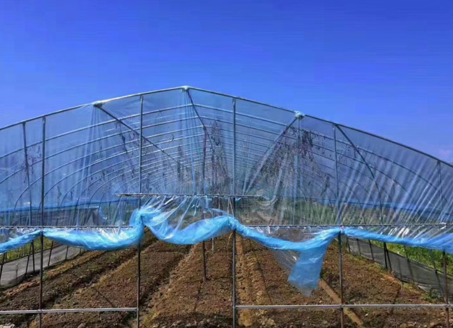 Understanding How China Greenhouse Manufacturers Shape Global Agricultural Growth