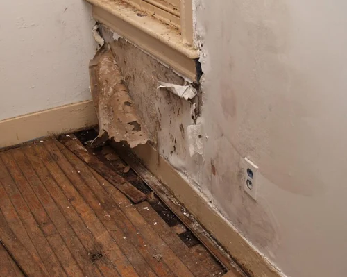The Comprehensive Guide to Identifying and Addressing Water Damage in Your Home