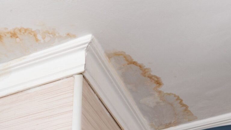 Water Damage: Early Signs You Should Never Ignore