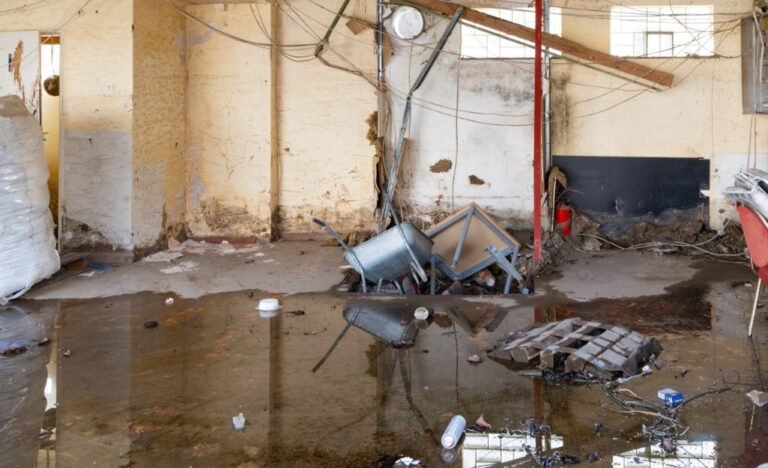 How to Choose the Right Water Damage Clean Up Experts for Your Home