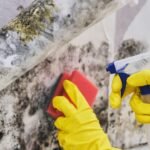 Atlanta Mold Remediation Pros: Top Tips for a Healthy Home