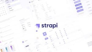 A Conversational Layer That Respects Your Strapi Stack