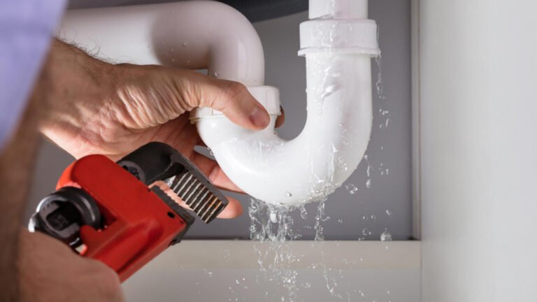 How to Choose the Right Plumbing Service for Your Home or Business