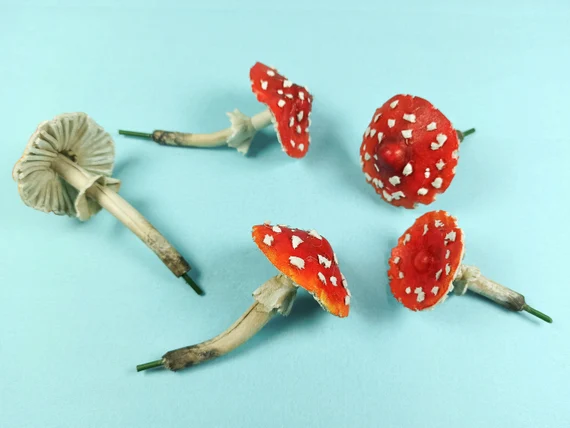 A Complete Guide to Buy Magic Shrooms Canada: What Curious Buyers Should Know