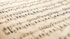 Music Trends Shaping the Sound of Today’s Global Audience