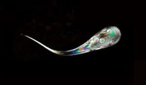 Prince Rupert’s Drop for Sale: A Fascinating Look at This Glass Curiosity