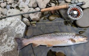 Fly Fishing: A Complete Guide for Beginners and Outdoor Enthusiasts