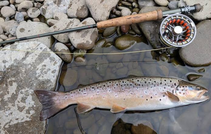 Fly Fishing: A Complete Guide for Beginners and Outdoor Enthusiasts