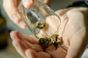 Buy Cannabis Online: A Complete Guide to Making Informed Choices
