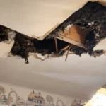 Navigating the Rising Tides: A Comprehensive Guide to Omaha Water Damage Recovery and Prevention