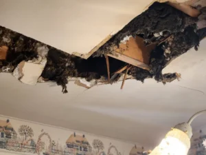 Navigating the Rising Tides: A Comprehensive Guide to Omaha Water Damage Recovery and Prevention